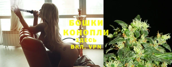 винт Нягань