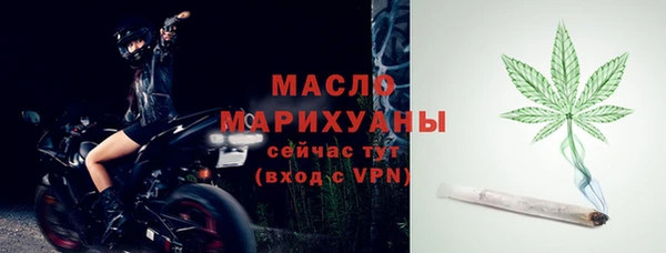 крисы Новодвинск
