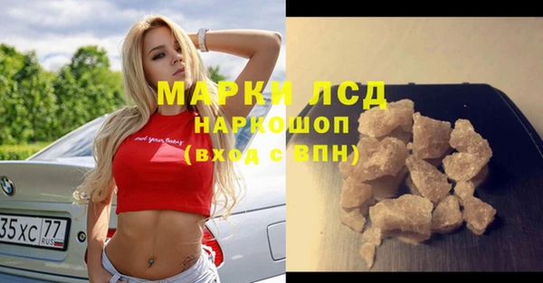 спайс Няндома
